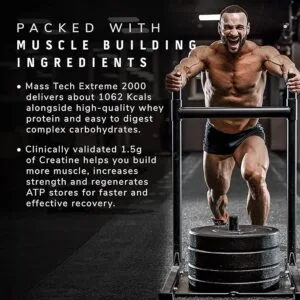 MuscleTech MassTech online in india
