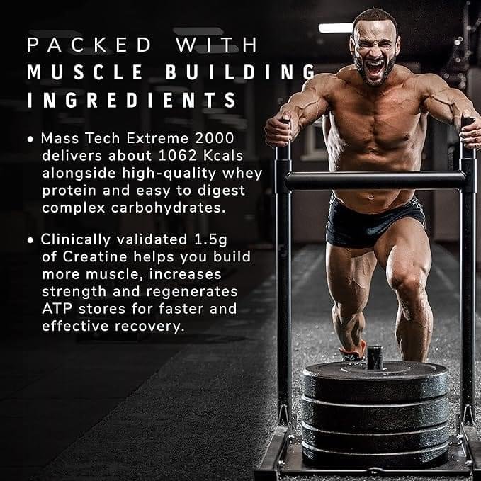 MuscleTech MassTech online in india MuscleTech MassTech online in india